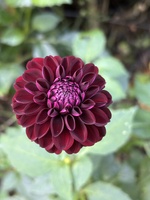 The summer that never ends…