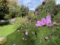 The summer that never ends…