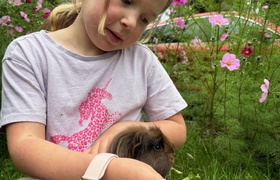 April - Journal Entries