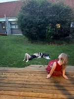 Ohakune for Easter. Managed a bike along managawhero river and had a milkshake at franks.