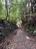 Te Ara mangawhero bike trail with the kids. 16km all up from the house. They all did awesome.