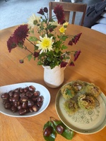 Our foraging efforts! Chestnuts! And my chrysanthemum cuttings are flowering! And of course cosmos hedge.