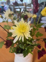 Our foraging efforts! Chestnuts! And my chrysanthemum cuttings are flowering! And of course cosmos hedge.