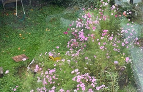 April - Journal Entries