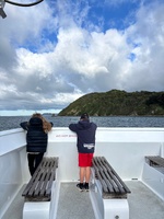 Another morning stroll before porridge and ferry home. I want to love on an island. What a magical place.