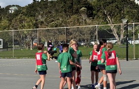 August - Journal Entries