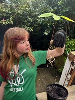 A spot of late winter gardening. Best time to make my compost bags as there is lots of brown waste (leaves) and not too many green!