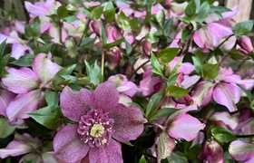 August - Journal Entries