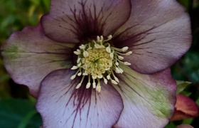 August - Journal Entries