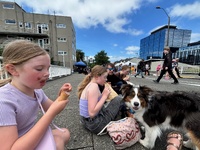 Thorndon street fair… nice food, Zorro behaved until the fountain and a nice stroll through the botanicals.