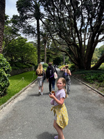 Thorndon street fair… nice food, Zorro behaved until the fountain and a nice stroll through the botanicals.