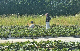 December - Journal Entries