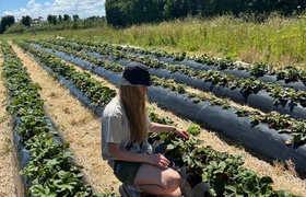 December - Journal Entries