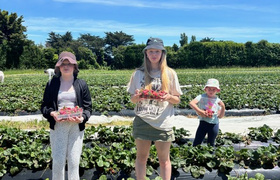 December - Journal Entries