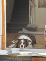 We got a pool for Christmas!