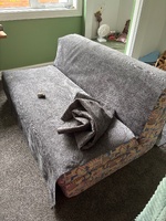 Trying to make one last push on the small paint jobs outside. Entrance is starting to look finished! Zobie has enjoyed the lamb skin rug and we managed a date night!