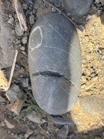 Had a lovely morning driftwood collection and wonder along Makara beach.