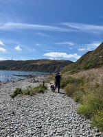 Had a lovely morning driftwood collection and wonder along Makara beach.