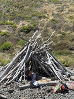 Had a lovely morning driftwood collection and wonder along Makara beach.
