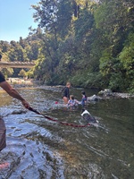 Camp kaitohe… a lovely river swim most of the day!