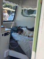 Camp kaitohe… a lovely river swim most of the day!