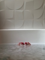 Around the bays 8.4km. Managed to run the whole way, 105 min. Then we had a lovely dip in the ocean followed by lunch.