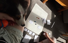 February - Journal Entries