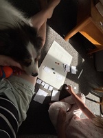 Juni designed her very own board game. Smoothies. She spent heaps of time doing the lists and drawing each card and over the weekend we painted them up on new cards.