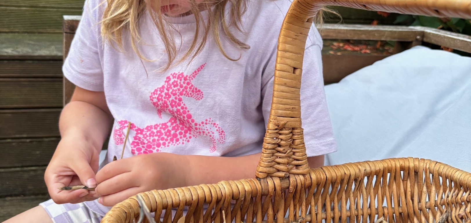 Sweet pea seed collection on the calmest Wellington evening. Just glorious!