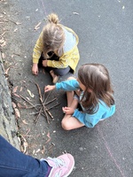 Botanical gardens for music, a boogie & family fun before the cousins fly home.