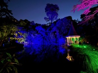 Botanical gardens for music, a boogie & family fun before the cousins fly home.