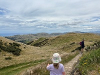Skyline walk with the whole fam damily. Juni’s first 14km walk! Finished with a milkshake and a dip in Khandallah, strangely I was the only one? Not another soul in the water… bliss