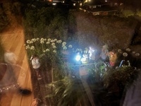 Dinner with the extended family. Spotlight for the kiddies later on.