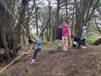 Cousins sleepover, forest school on a rainy day. Followed by robot challenge in Lego.