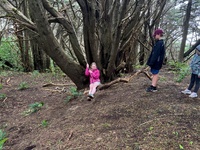 Cousins sleepover, forest school on a rainy day. Followed by robot challenge in Lego.