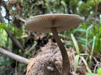 Homeward bound, it managed not to rain on us! Lovely weekend, every time it is always different!