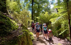 January - Journal Entries