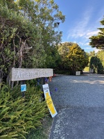 We had to stop in Otaki for Tom’s meeting and we discovered the Festival of pots!