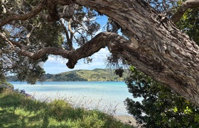 January - Journal Entries