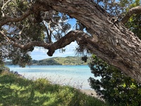 A wandering into the cute raglan town and onto the wharf area for a smoothie. Relaxed the avo away at the beach.