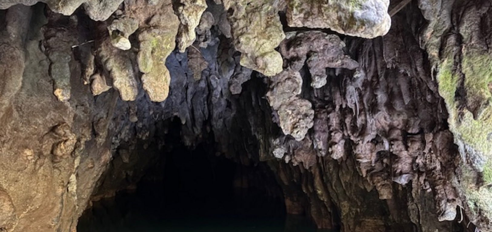 We finally did the Waitomo caves! What a delight. Lots of driving, so we went to Hamilton gardens for lunch and a hot wander. More magical spaces I hadn’t seen before. Favorite was the Mansfield tea party. Girls liked the surrealism Alice one and daddy the Italian.