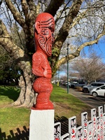 A wandering with a smoothie around sulphur point