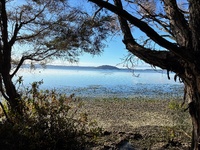 A wandering with a smoothie around sulphur point