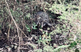 July - Journal Entries