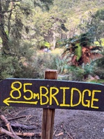 Tarawera trail 15km walk. The biggest day walk we have done as a family. Amazing moss ground cover, wallabies, rainbow trout, ponga forests, lake views, mushrooms! And a hot water feet soak at the end. Bliss. Plus a boat ride back.