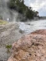 Tarawera trail 15km walk. The biggest day walk we have done as a family. Amazing moss ground cover, wallabies, rainbow trout, ponga forests, lake views, mushrooms! And a hot water feet soak at the end. Bliss. Plus a boat ride back.