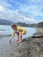 Tarawera trail 15km walk. The biggest day walk we have done as a family. Amazing moss ground cover, wallabies, rainbow trout, ponga forests, lake views, mushrooms! And a hot water feet soak at the end. Bliss. Plus a boat ride back.