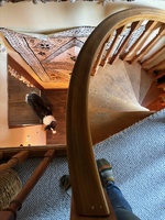 A visit to Narnia, Toni & Robin’s Waikanae Bach. Magical spot.