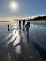A visit to Narnia, Toni & Robin’s Waikanae Bach. Magical spot.