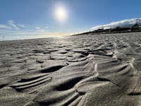 A visit to Narnia, Toni & Robin’s Waikanae Bach. Magical spot.